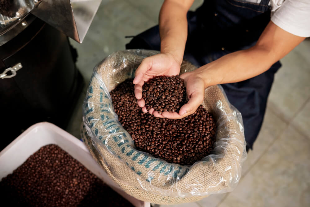 Caffè arabica: le differenze tra miscela arabica e robusta